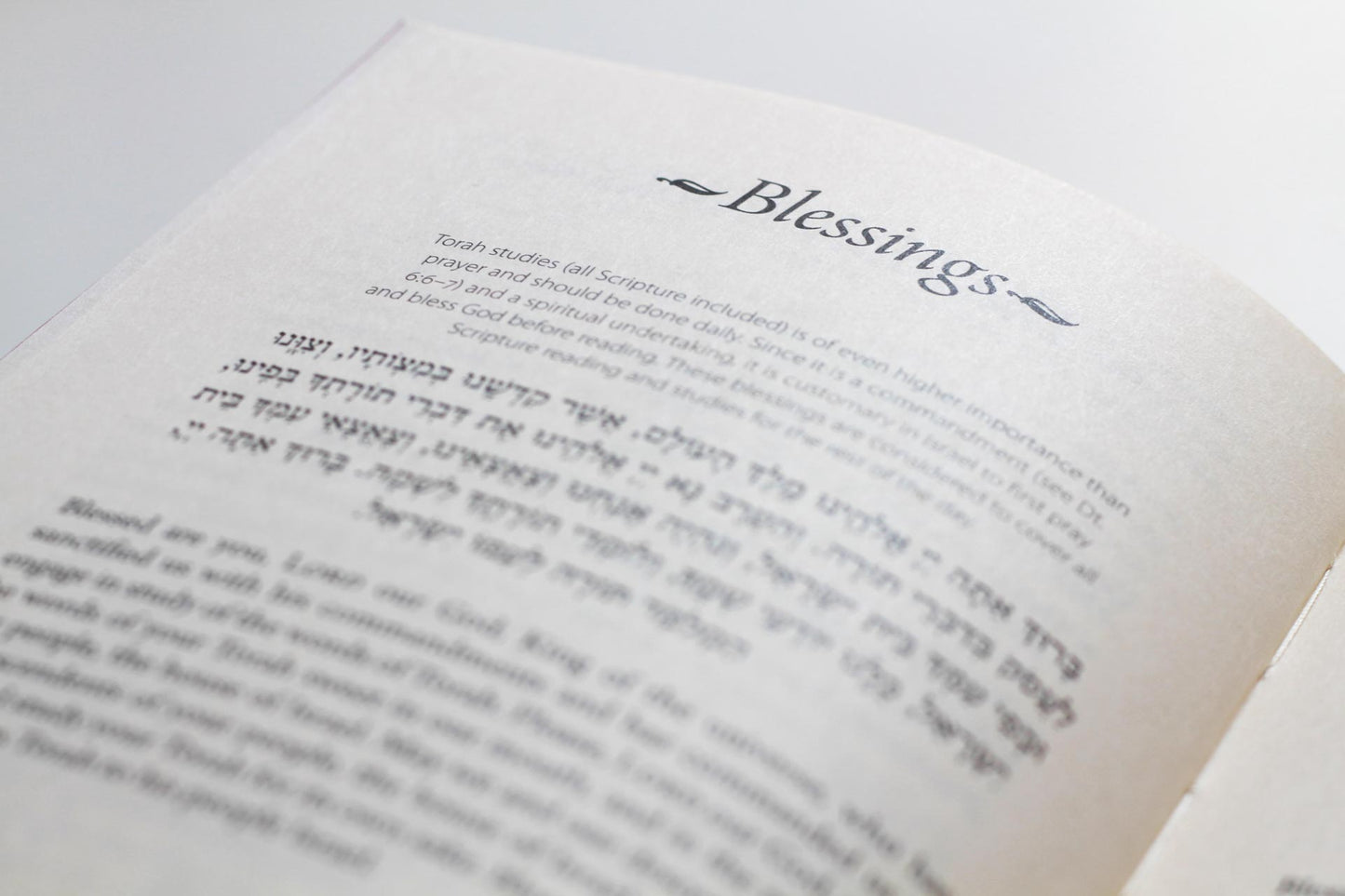 Daily Bread (5786 / 2026) bibelläsningsplan